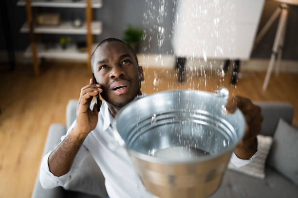 Best Water damage contractors near me  in Tarrant, AL