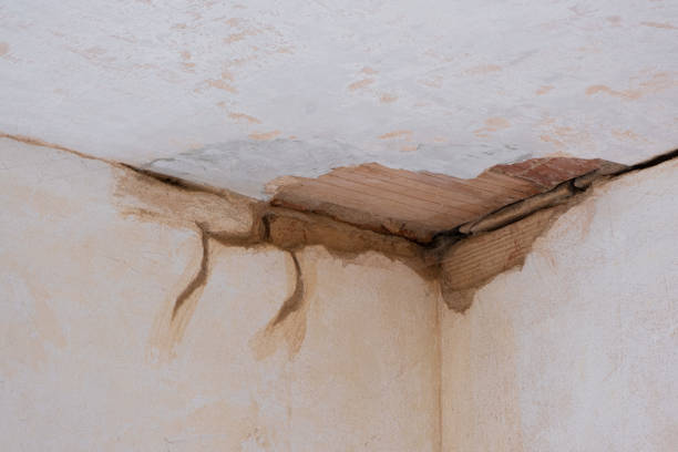 Best Commercial water damage restoration  in Tarrant, AL