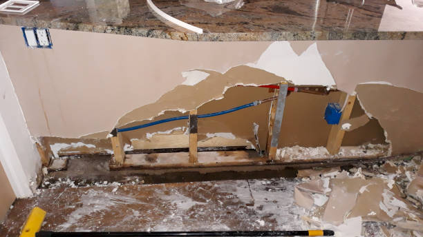 Best 24-hour water damage restoration  in Tarrant, AL