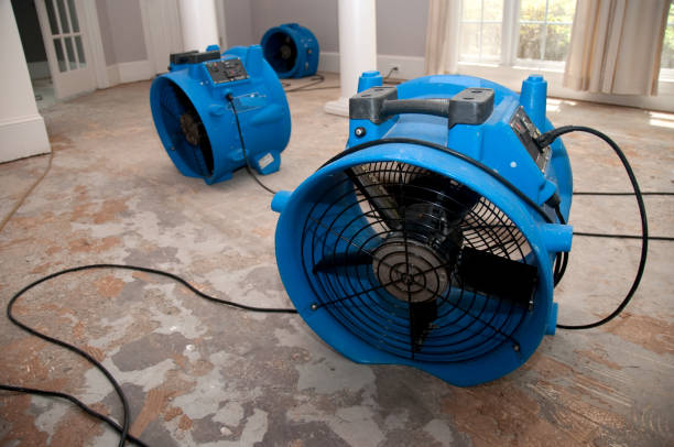 Best Emergency water damage restoration  in Tarrant, AL