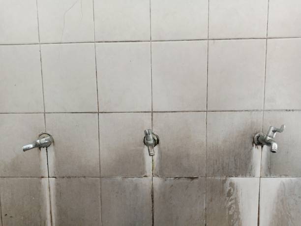 Best Carpet water damage restoration  in Tarrant, AL